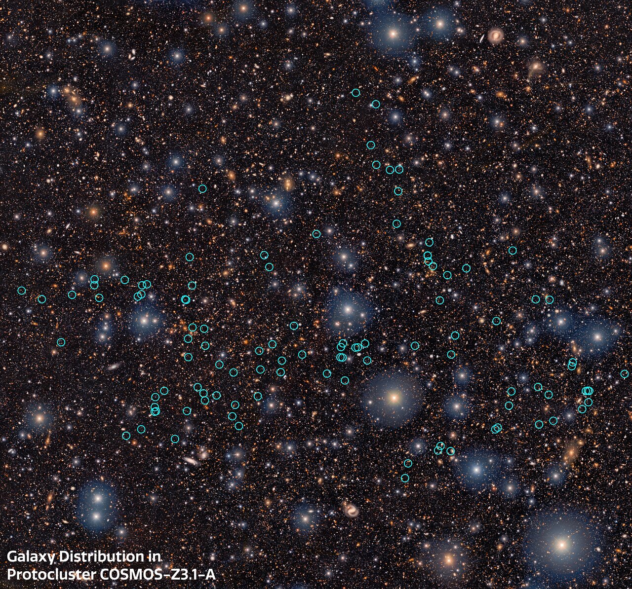 COSMOS-z3.1-A Discovered as Earliest and Most Distant Proto-Supercluster