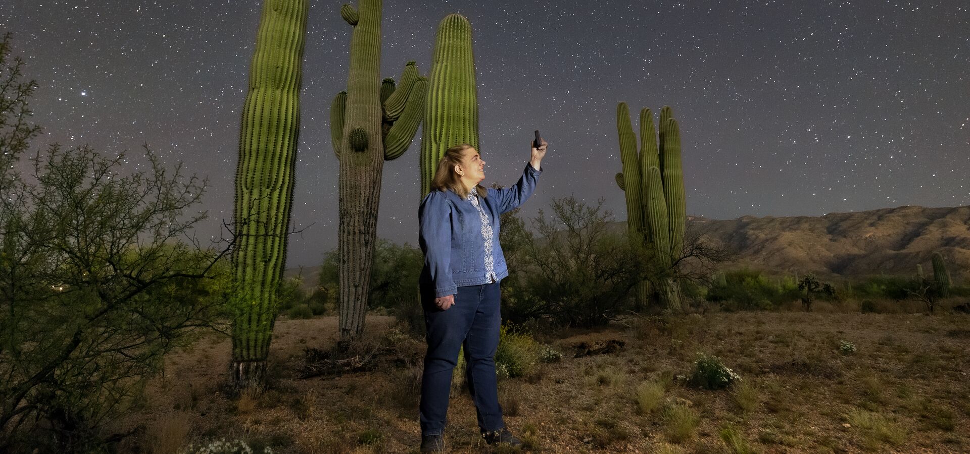 Collecting Data for Globe at Night