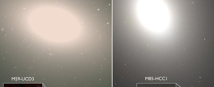 Hiding in Plain Sight: Undergraduates Discover the Densest Galaxies Known