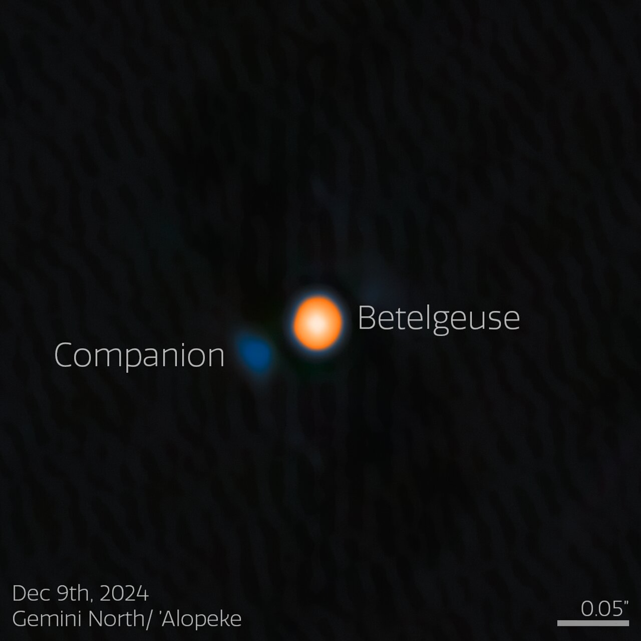 Gemini North Discovers Long-Predicted Stellar Companion of Betelgeuse