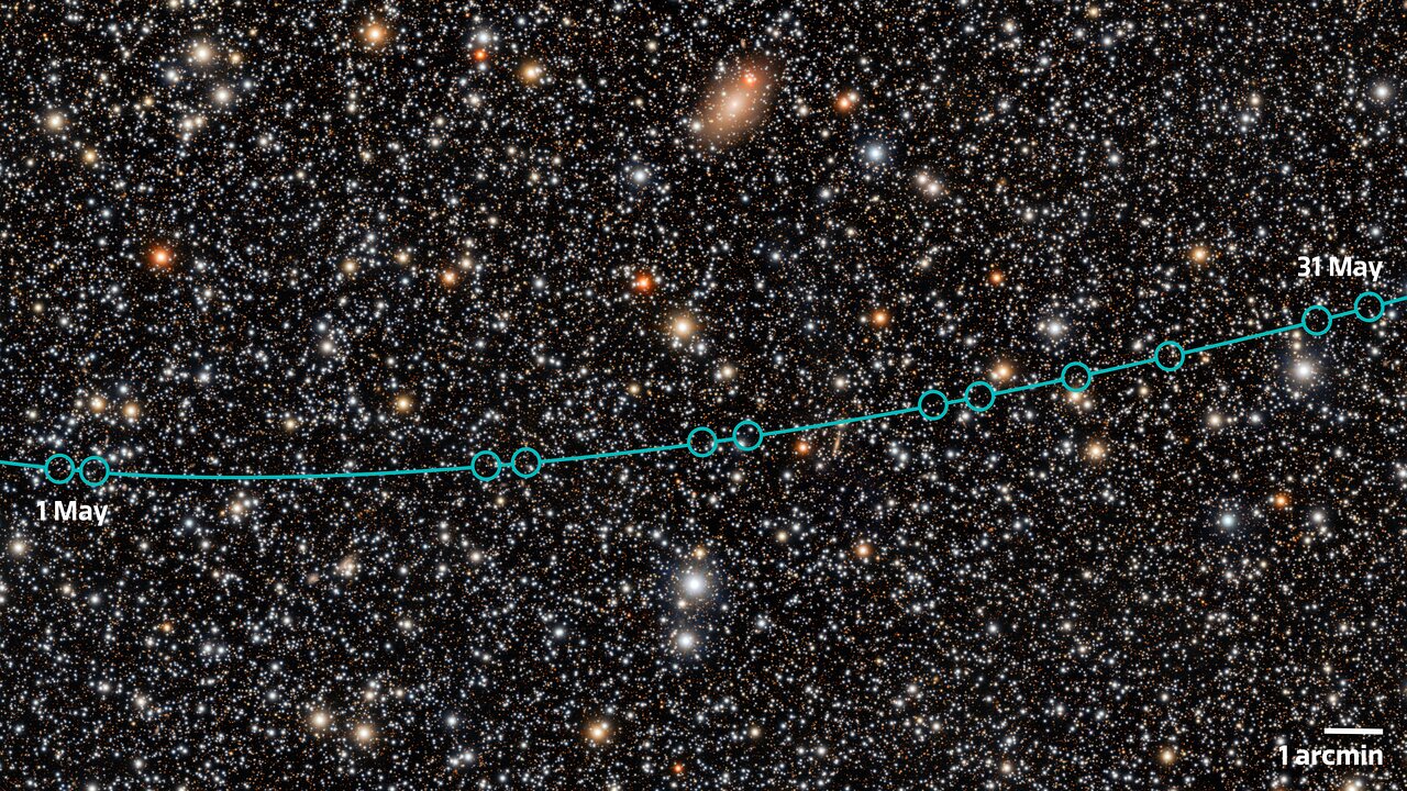 2026 ED138 orbital pathway during May 2026