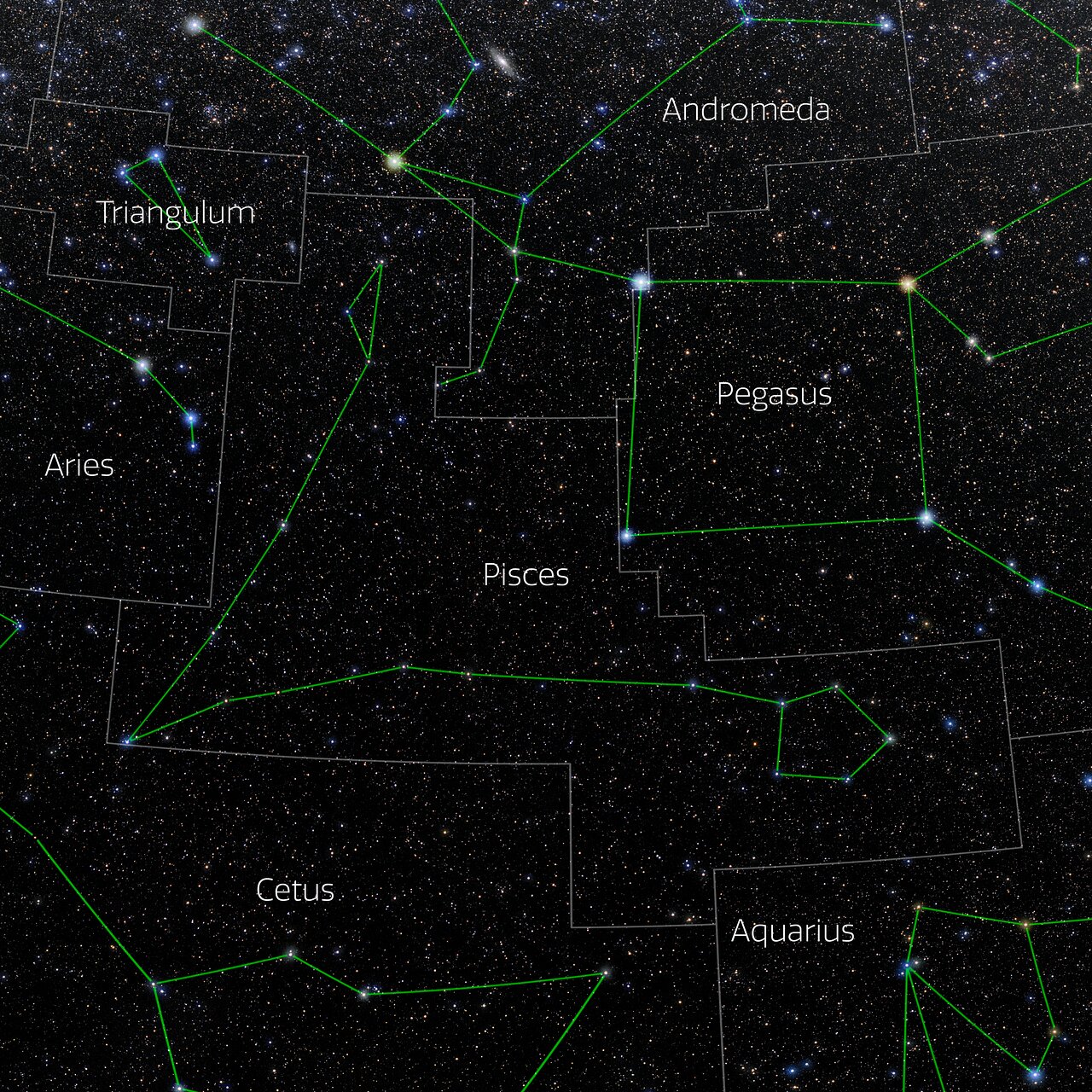 Pisces