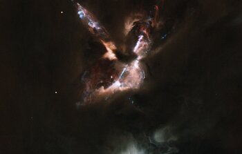 Searching for Orphan Stars Amid Star birth Fireworks
