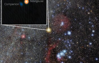 Betelgeuse and Its Stellar Companion in Orion