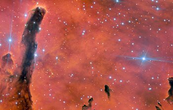 Students in Hawai'i Name Mesmerizing Image Ua ʻŌhiʻa Lani for the