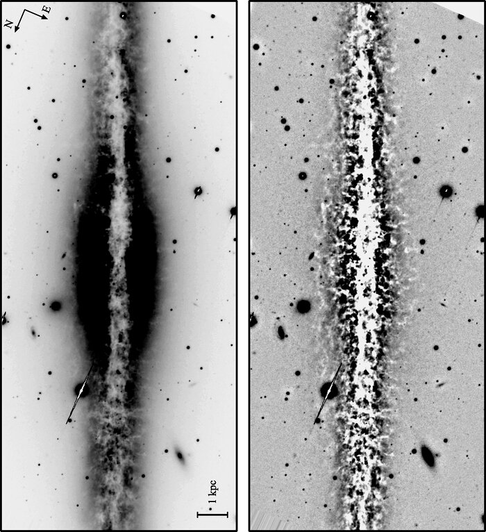 Dust features in NGC 891