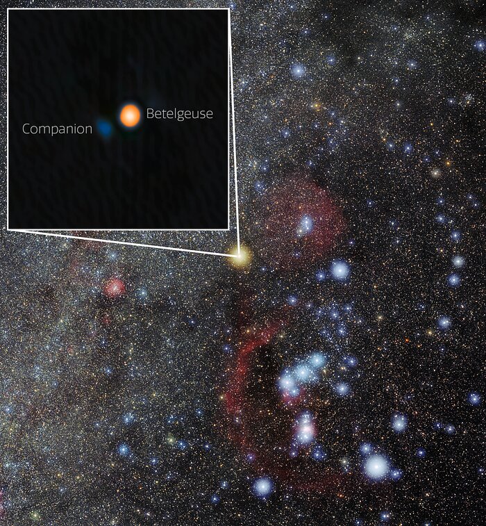 Betelgeuse and Its Stellar Companion in Orion