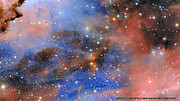 Stepping into the Seagull Nebula
